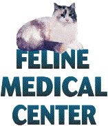 feline-medical-center