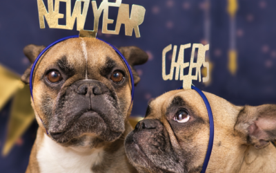 New Year’s Eve Pet Tips from Fear Free