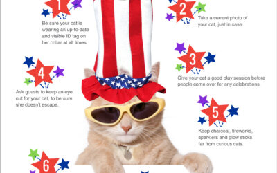 Fourth of July Cat Safety Tips