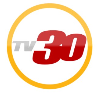 TV30 logo