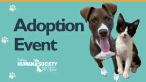 Text "Adoption Event" next to a brown puppy and tuxedo colored kitten
