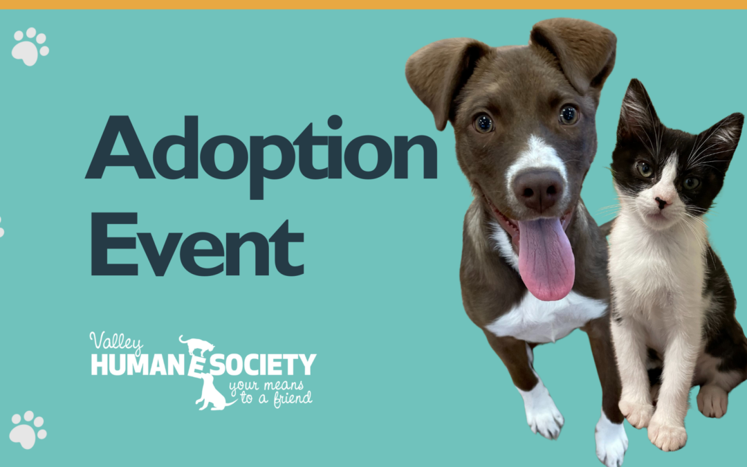 July Pet Adoptions at Blackhawk Pet Food Express