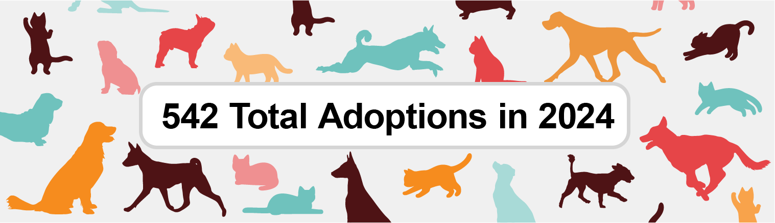 VHS_Adoptions2024b