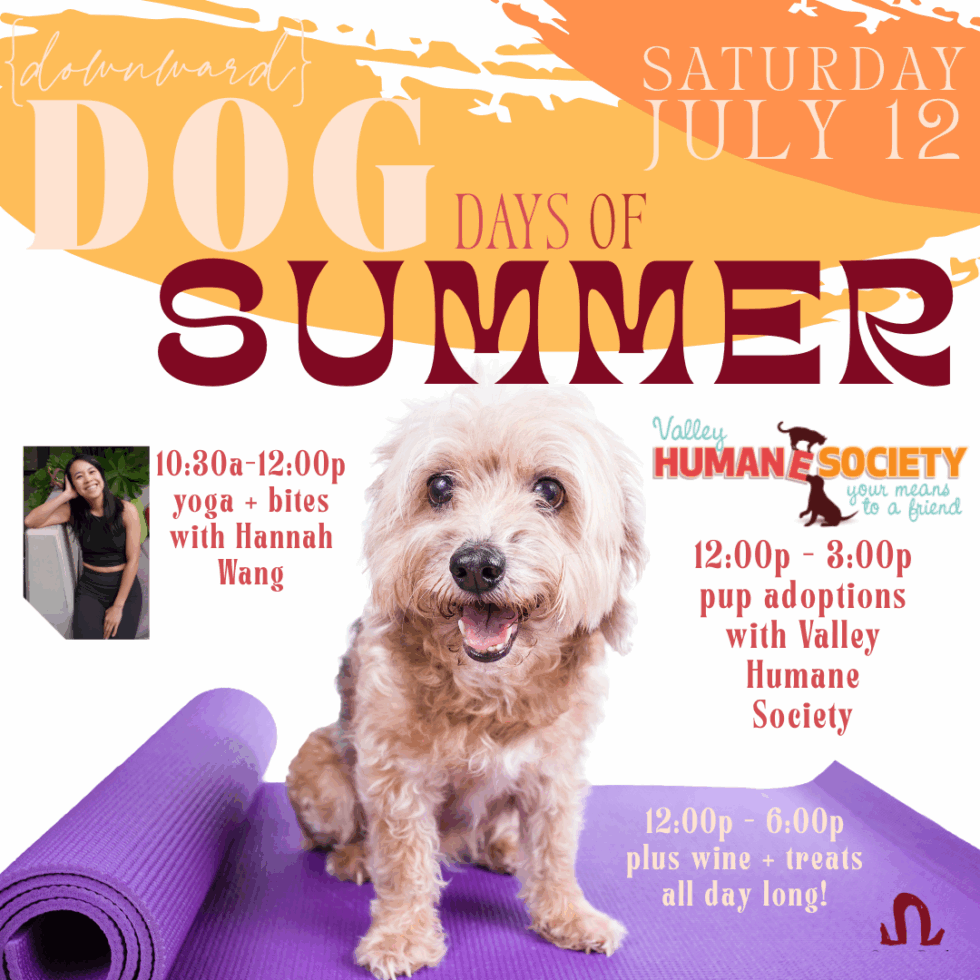 Summer Rescue (downward) Dog Days of Summer | Adoption Event at Omega Road Winery ...