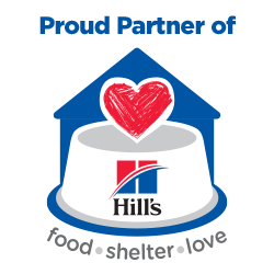 shelter-equity-shelter-partner-website-2