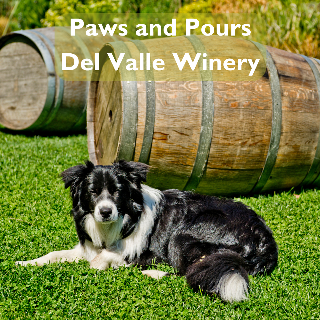 Paws and Pours Del Valle Winery