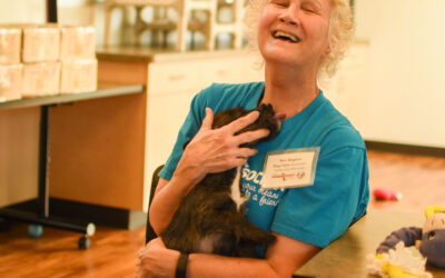 More Than a Matchmaker: The Role of Private Animal Shelters in Our Community