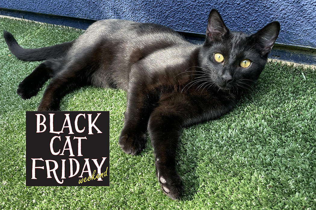 Mr Snuffleupagus BCF 2025 Event Pic_small