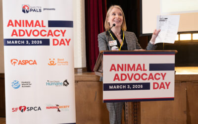 Advocating for Animals