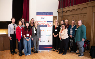 Event Recap: Animal Advocacy Day 2026