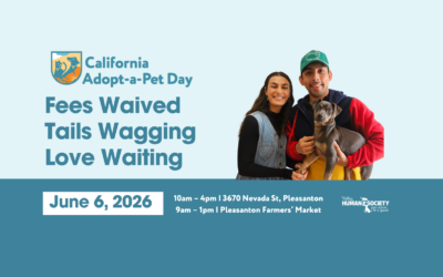 California Adopt-a-Pet Day 2026