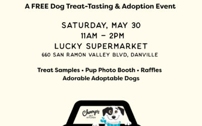 Paws in the Parking Lot: A Free Community Dog Treat Tasting & Adoption Event