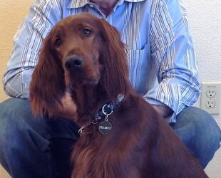 Seamus Makes Friends During Pet-Assisted Therapy Visit