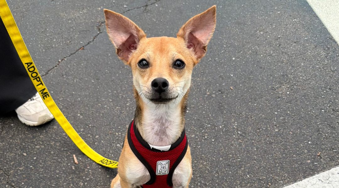 Adopted: Dallas “Dally” Winston
