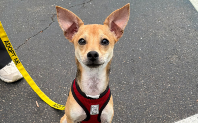 Adopted: Dallas “Dally” Winston