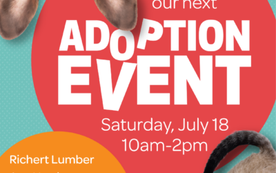 Pet Adoptions at Richert Lumber Ace Hardware