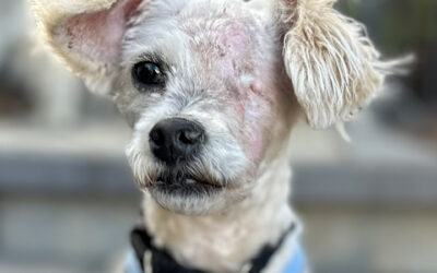 3 Stories of Healing and Hope