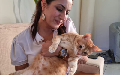 Vaccinations Recommended to Protect Pets from Rabies Risk