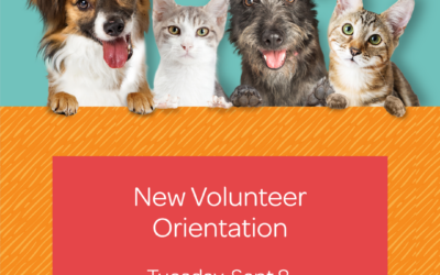 New Volunteer Orientation