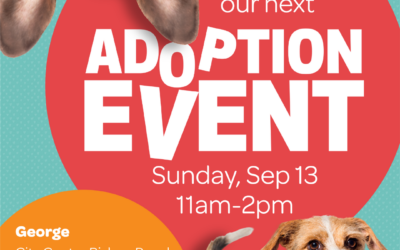 Pet Adoptions at George