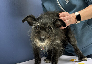 Medical Assistance Fund: Nova’s Story