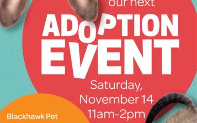Pet Adoptions at Blackhawk Pet Food Express