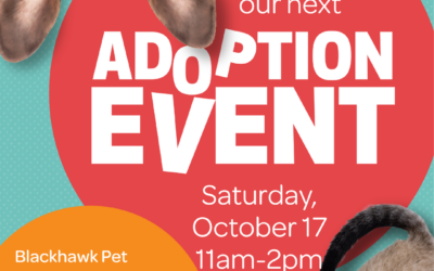 Pet Adoptions at Blackhawk Pet Food Express
