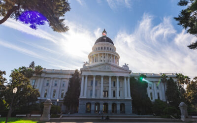 California Leaders Call for Statewide Bureau of Companion Animal Welfare