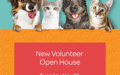 New Volunteer Open House