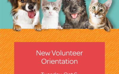 New Volunteer Orientation