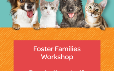 Foster Families Workshop
